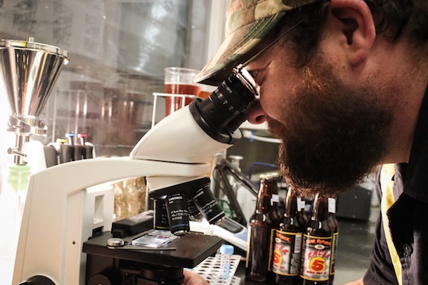Bear Republic Craft Beer Microscope