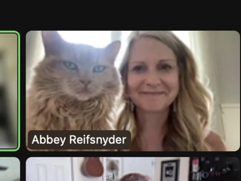 image of orange cat on a zoom call with Abbey