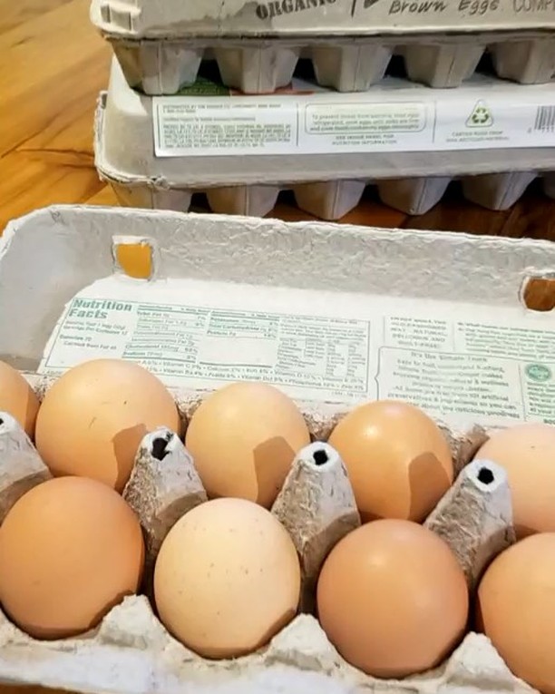 Office egg delivery! 8 dozen fresh eggs from @deepmountainfarm helps fuel the DR crew! Fresh. Local. We dig it. . . . #buylocal #farmfresh #localfarmers #localvore #farmfresheggs #supportlocal #agencylife