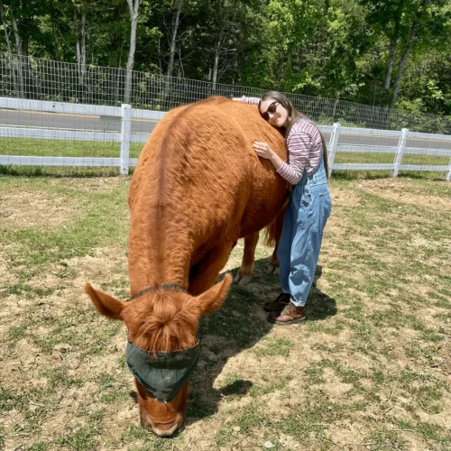 Emily hugging a cow at cow hug therapy at the Gentle Barn