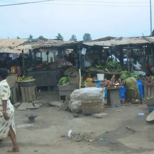 An image Vasilia took from a public bus in Ghana. while on a public bus in Ghana. It’s an open air market full of food and animals roaming around.