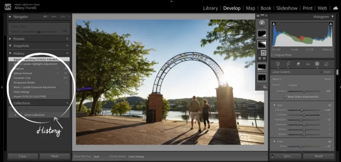 Adobe Lightroom Classic dashboard. On the left-hand window, the history tab is unfurled and labeled prominently with a white circle and arrow.