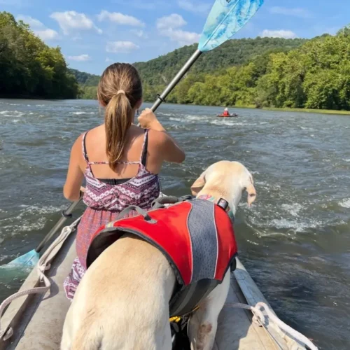 Hannah maneuvering a boat on the Greenbrier river. Her dog, Gilly wears a life jacket and looks over her shoulder